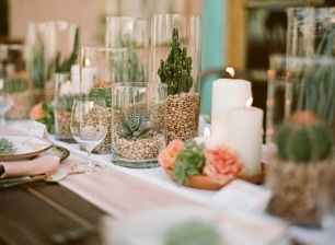 suculentasmexican-centerpiece-tablescape-succulents-wedding-ideas